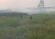 Tujuh Kecamatan di HSS Terdampak Karhutla 29 Tujuh Kecamatan di HSS Terdampak Karhutla