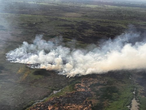 Karhutla Terbesar di Kalsel<br>Kapolda, Danrem dan Forkopimda Terbang Pakai Heli BNPB 1 1 3 klm karhutla