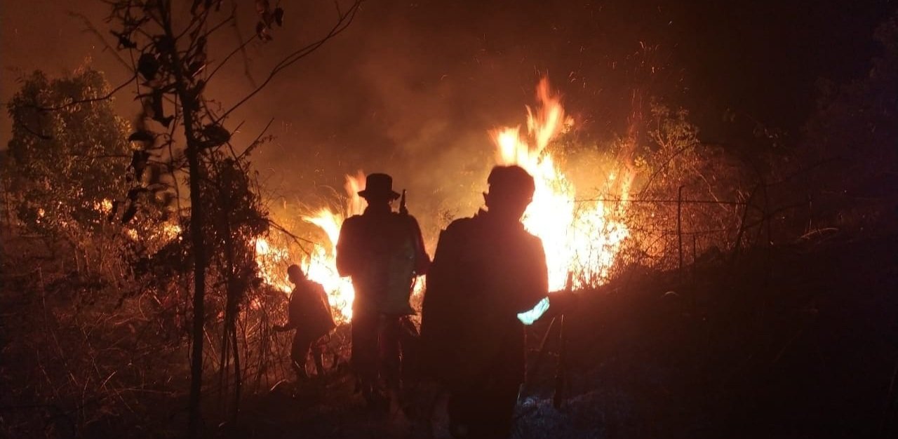 1 utama 6 klm 6 cm Tahura terbakar