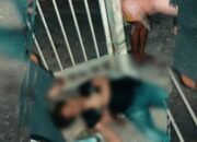 Adu Pandang Nyawa Melayang