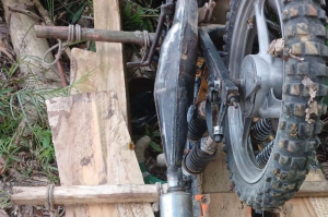 Penebang Pohon Meninggal Tertindih Kayu