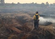 Karhutla Kembali Hanguskan Lima Hektar Lahan