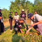 Hal 10 3 Klm Pena Hijau