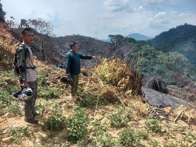 Dandim 1010 Tapin Padamkan Karhutla Desa Harakit 1 Hal 2 Rantau 4 klm 22