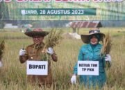 Masuk Puncak Kemarau, Tabalong Panen Raya