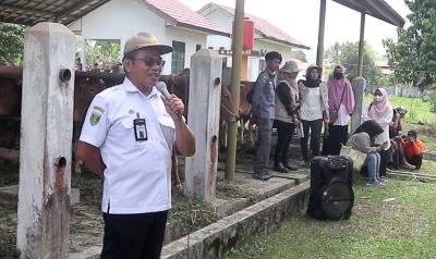 Hal 4 Tabalong Adv 13 klm