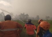 Batola Siaga Darurat Karhutlah, BPBD Batola Terus Pantau Karhutla