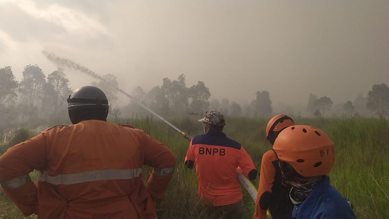 Batola Siaga Darurat Karhutlah, BPBD Batola Terus Pantau Karhutla 1 IMG 20230802 WA0019