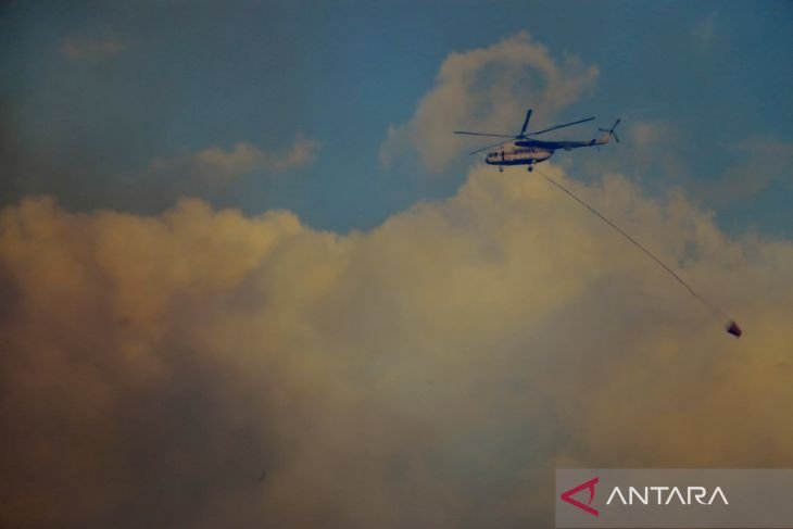 Karhutla 15 hektare Lahan di Banjarbaru 1 IMG 20230803 WA0047