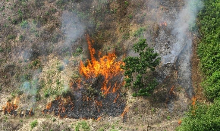 Hujan Intensitas Ringan Terjadi di Tiga Daerah, Seluruh Wilayah Kalsel Waspadai Potensi Karhutla 1 IMG 20230806 WA0016
