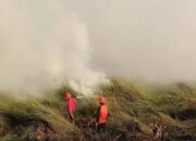 Tiga Jam Padamkan Karhutla Lahan Gambut Seluas 20 Hektare di Tanah Bumbu 15 Tiga Jam Padamkan Karhutla Lahan Gambut Seluas 20 Hektare di Tanah Bumbu