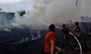 Karhutla 2,5 Hektare Lahan di Desa Tampang Balangan 14 Karhutla 2,5 Hektare Lahan di Desa Tampang Balangan