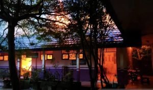 MIN 6 Purut Tapin Diamuk Si Jago Merah