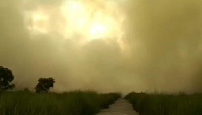 Banjarmasin Berasap, Sebagian Kota Besar Lainnya Hujan