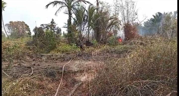 hAL 10. 3 klM Kebakaran