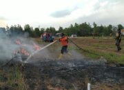 BPBD Padamkan Karhutla di Lima Lokasi
