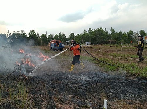 BPBD Padamkan Karhutla di Lima Lokasi 1 10 3 klm Karhutla