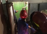Horor, Piton Nongol di Plafon Dapur 22 Horor, Piton Nongol di Plafon Dapur