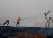 Karhutla di Banjar Capai 285,14 Hektar