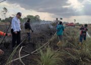 Karhutla di Perbatasan Banjarbaru-Martapura 20 Karhutla di Perbatasan Banjarbaru-Martapura