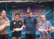 Pokmas Berkah Bersama Sukses Panen Ribuan Bebek 33 Pokmas Berkah Bersama Sukses Panen Ribuan Bebek