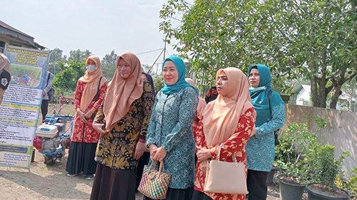 Desa Danda Jaya Upayakan Raih Proklim Lestari 1 Hal 2 Marabahan 4 klm 3