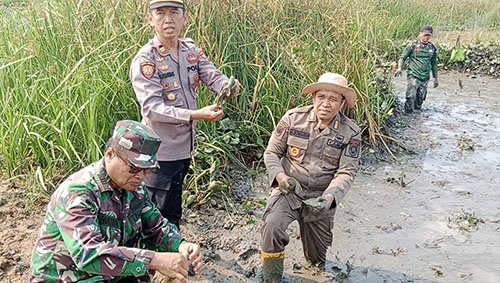 Hal 4 Tabalong Adv 1 3 klm 4