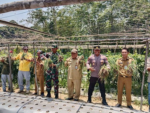 Hal 4 Tabalong Adv 3 klm 3