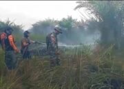 Karhutla 'Bakar' Satu Hektare Kebun Sawit di Tapin 34 Karhutla ‘Bakar’ Satu Hektare Kebun Sawit di Tapin