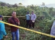 Warga Desa Salam Babaris, Tapin Geger Penemuan Tengkorak Manusia 17 Warga Desa Salam Babaris, Tapin Geger Penemuan Tengkorak Manusia