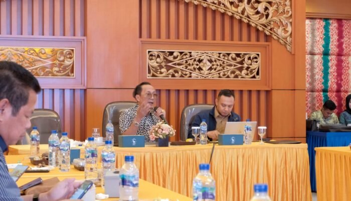 Beda Tafsir Permendagri 84, Pembahasan APBD-P Deadlock