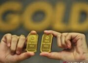 Harga Emas Jatuh ke Level Terendah, Ini Penyebabnya 22 Harga Emas Jatuh ke Level Terendah, Ini Penyebabnya