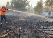 Kabut Asap Bikin Perih Mata dan Ganggu Transportasi Darat Maupun Udara di Palangka Raya 11 Kabut Asap Bikin Perih Mata dan Ganggu Transportasi Darat Maupun Udara di Palangka Raya