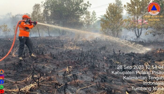 Kabut Asap Bikin Perih Mata dan Ganggu Transportasi Darat Maupun Udara di Palangka Raya