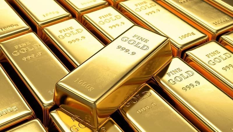 WhatsApp Image 2023 09 21 at 06.51.59