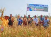 Poktan Hidayah Malintang Panen Padi Lokal MTOT