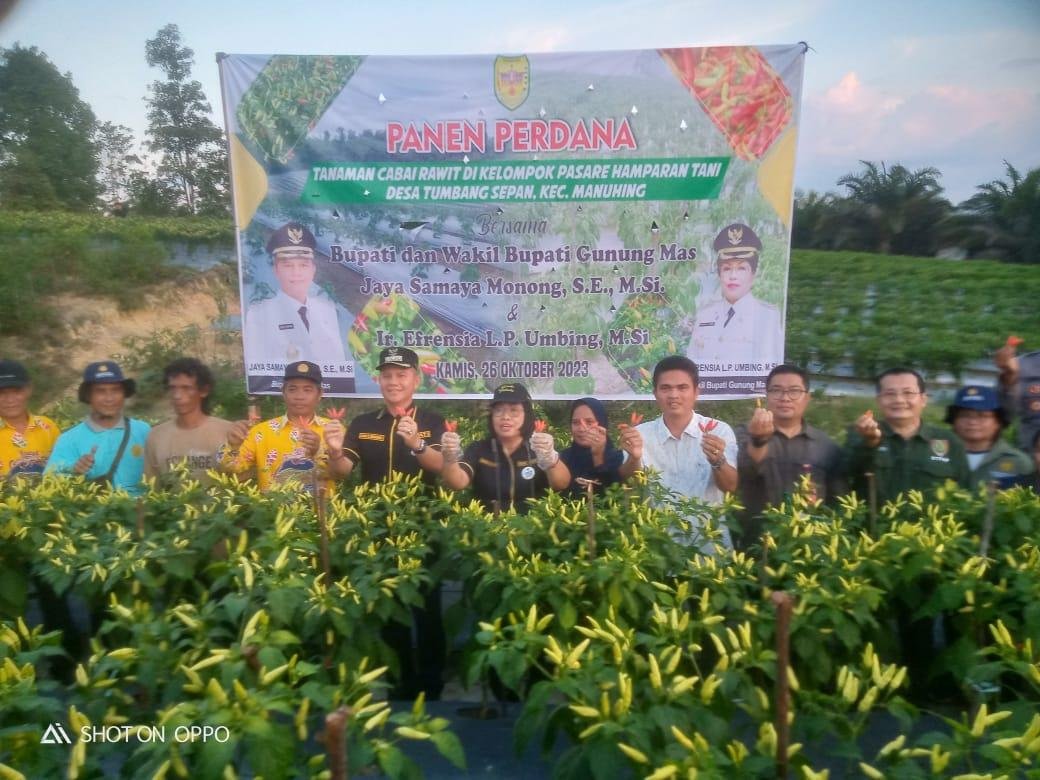 15 kalteng3 10