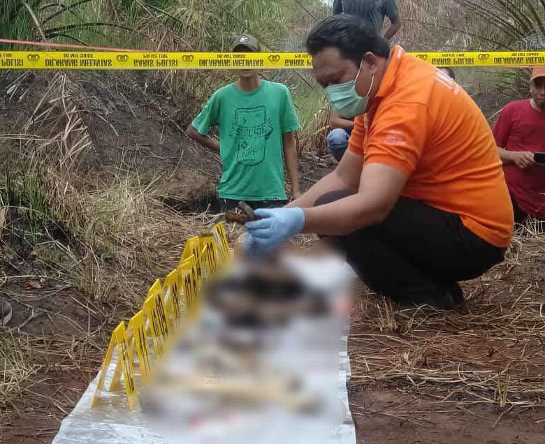 Warga Temukan Kerangka Manusia di Kebun Sawit 1 5 HL Tengkorak 3klm