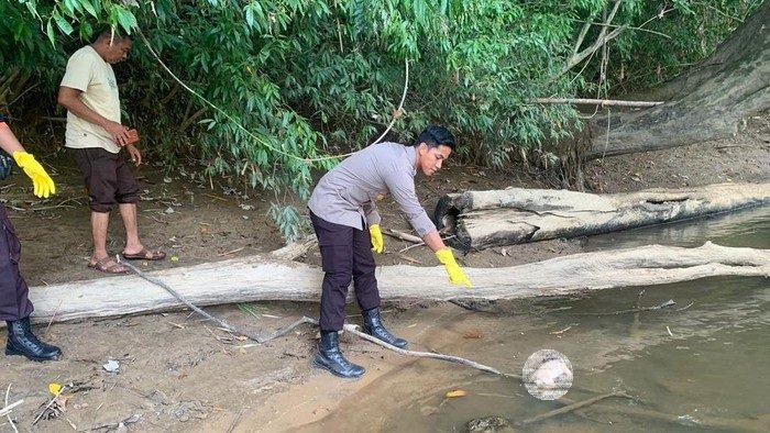 6 FOTO HL Buang Bayi 3klm