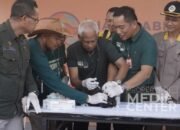 Peringatan World Rabies Day Pecahkan Rekor Muri 15 Peringatan World Rabies Day Pecahkan Rekor Muri