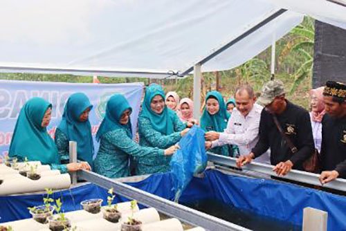 Hal 2 Rantau 4 klm 5