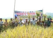 Sekda HSU Hadiri Panen Raya dan Gernas Percepatan Pangan 13 Sekda HSU Hadiri Panen Raya dan Gernas Percepatan Pangan