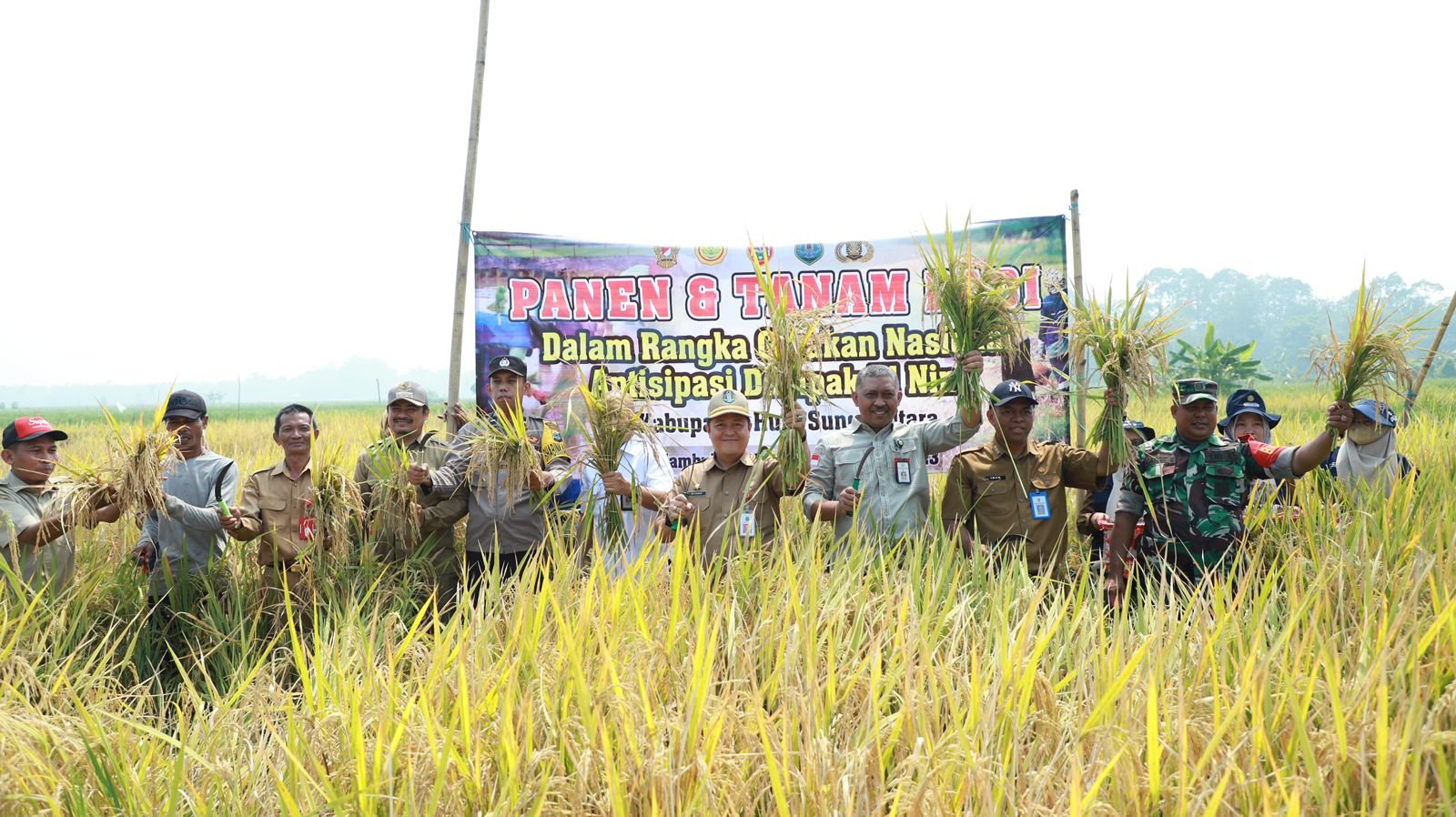 Sekda HSU Hadiri Panen Raya dan Gernas Percepatan Pangan 1 Hal 4 HSU 4 klm