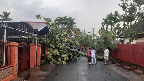 Hal 9 4 KLm Roboh Pohon