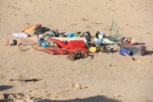 IMG 20231009 WA0025 e1696837442573