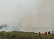 Sebanyak 5.045 Kasus ISPA di HSS Akibat Kabut Asap Karhutla 10 Sebanyak 5.045 Kasus ISPA di HSS Akibat Kabut Asap Karhutla