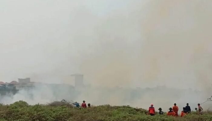 Sebanyak 5.045 Kasus ISPA di HSS Akibat Kabut Asap Karhutla