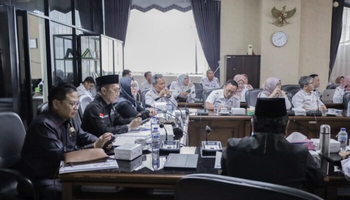 Dewan Dukung Program Tekan Angka Kematian Ibu dan Bayi