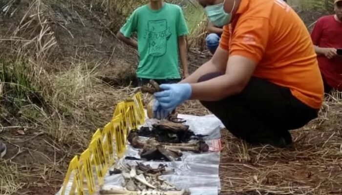 Berkat Uang Rp10.000, Terungkap Identitas Kerangka Manusia Tambang Ulang Tala