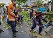 BPBD Kota Banjarmasin Terima 28 Laporan Kerusakan Akibat Hujan Deras dan Angin Kencang 8 BPBD Kota Banjarmasin Terima 28 Laporan Kerusakan Akibat Hujan Deras dan Angin Kencang